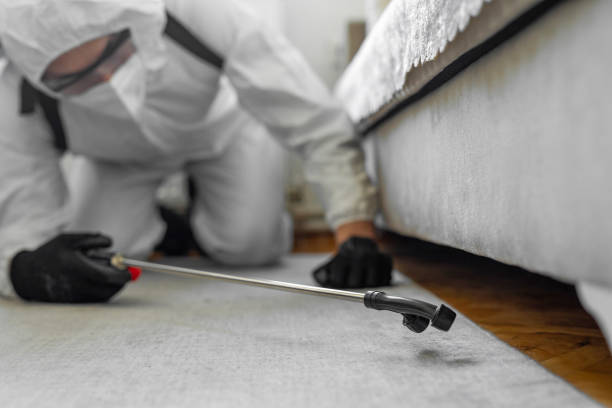 Professional Ant Control technician working in Moultrie County County, IL